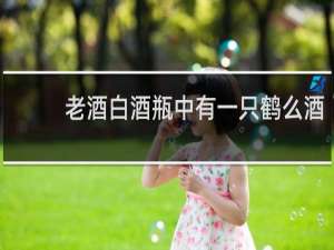 老酒白酒瓶中有一只鹤么酒