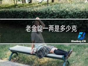 老金锭一两是多少克