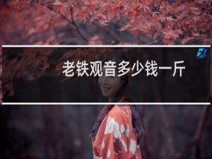 老铁观音多少钱一斤