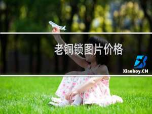 老铜锁图片价格