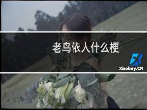 老鸟依人什么梗？什么梗