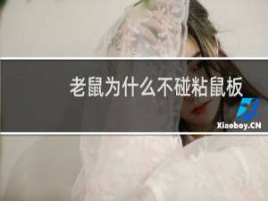 老鼠为什么不碰粘鼠板