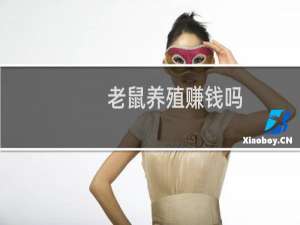 老鼠养殖赚钱吗