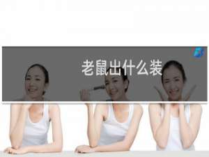 老鼠出什么装