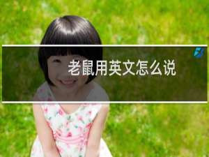 老鼠用英文怎么说