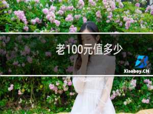 老100元值多少