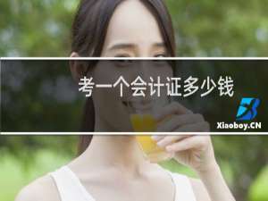 考一个会计证多少钱