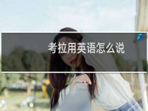 考拉用英语怎么说