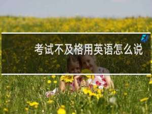 考试不及格用英语怎么说