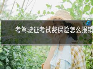 考驾驶证考试费保险怎么报销