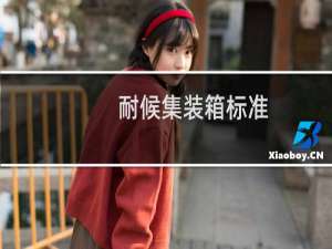 耐候集装箱标准