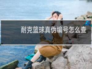 耐克篮球真伪编号怎么查