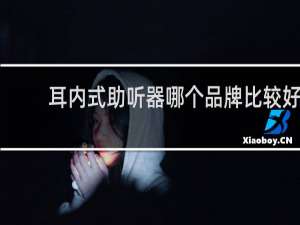 耳内式助听器哪个品牌比较好