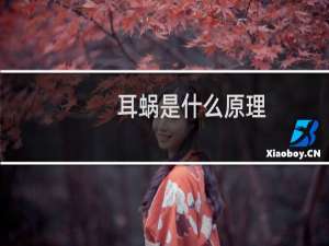 耳蜗是什么原理