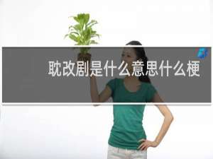 耽改剧是什么意思什么梗