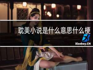 耽美小说是什么意思什么梗