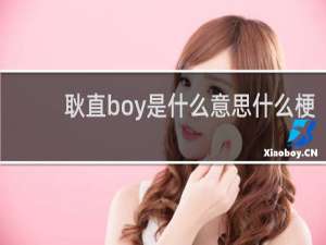 耿直boy是什么意思什么梗