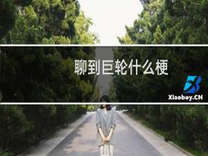 聊到巨轮什么梗