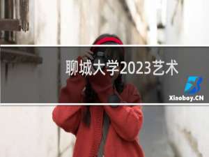聊城大学2023艺术类专业分数线
