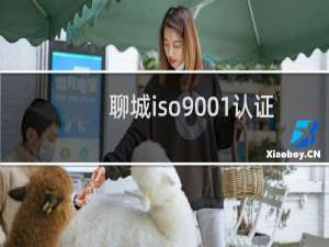 聊城iso9001认证