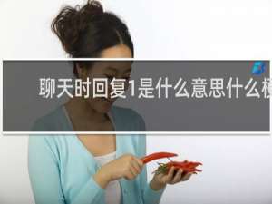 聊天时回复1是什么意思什么梗