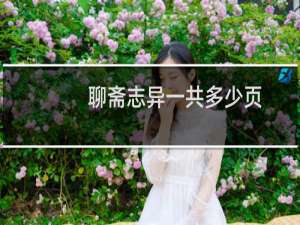 聊斋志异一共多少页