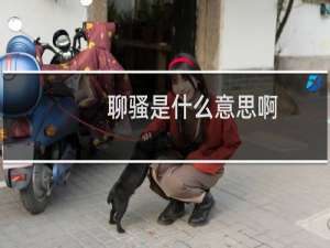 聊骚是什么意思啊，是哪里的方言什么梗