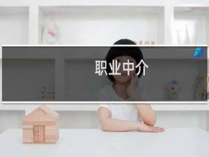 职业中介