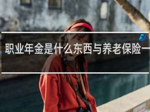 职业年金是什么东西与养老保险一样吗