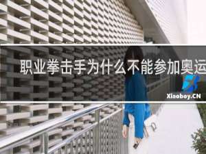 职业拳击手为什么不能参加奥运会