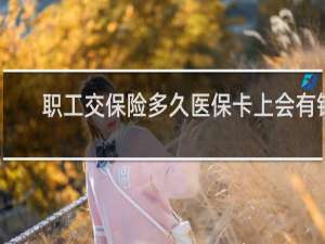 职工交保险多久医保卡上会有钱