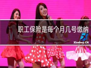 职工保险是每个月几号缴纳