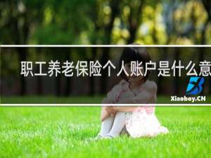 职工养老保险个人账户是什么意思