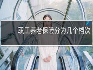 职工养老保险分为几个档次