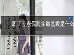 职工养老保险实缴基数是什么