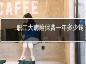 职工大病险保费一年多少钱