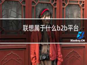 联想属于什么b2b平台
