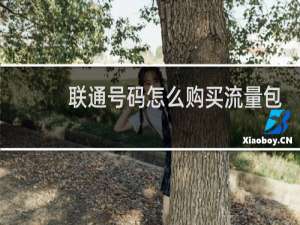 联通号码怎么购买流量包