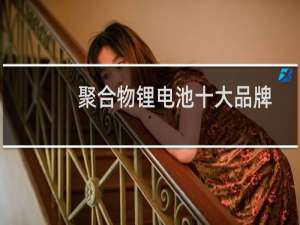 聚合物锂电池十大品牌排行榜