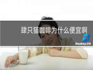 肆只猫咖啡为什么便宜啊