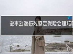 肇事逃逸伤残鉴定保险会理赔吗