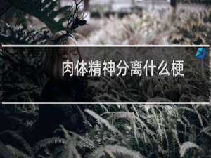 肉体精神分离什么梗