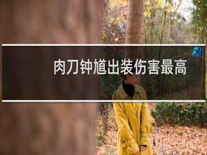 肉刀钟馗出装伤害最高