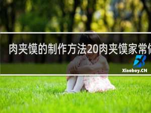 肉夹馍的制作方法 肉夹馍家常做法