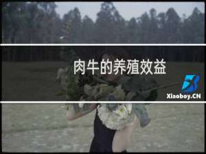肉牛的养殖效益
