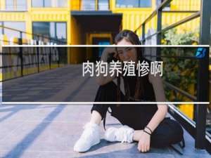 肉狗养殖惨啊