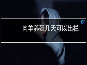 肉羊养殖几天可以出栏