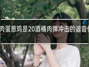 肉蛋葱鸡是 酒桶肉弹冲击的谐音什么梗