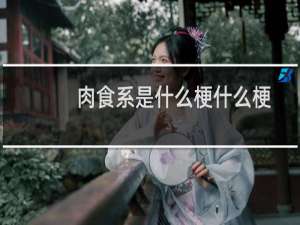 肉食系是什么梗什么梗