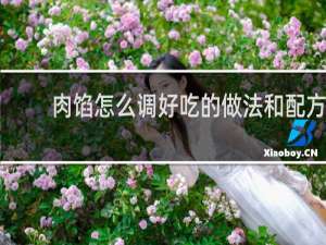 肉馅怎么调好吃的做法和配方